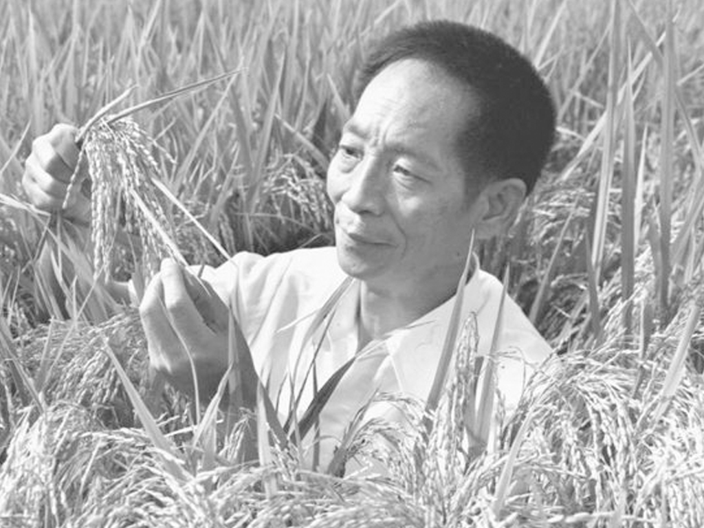 痛悼！送别国之脊梁袁隆平！