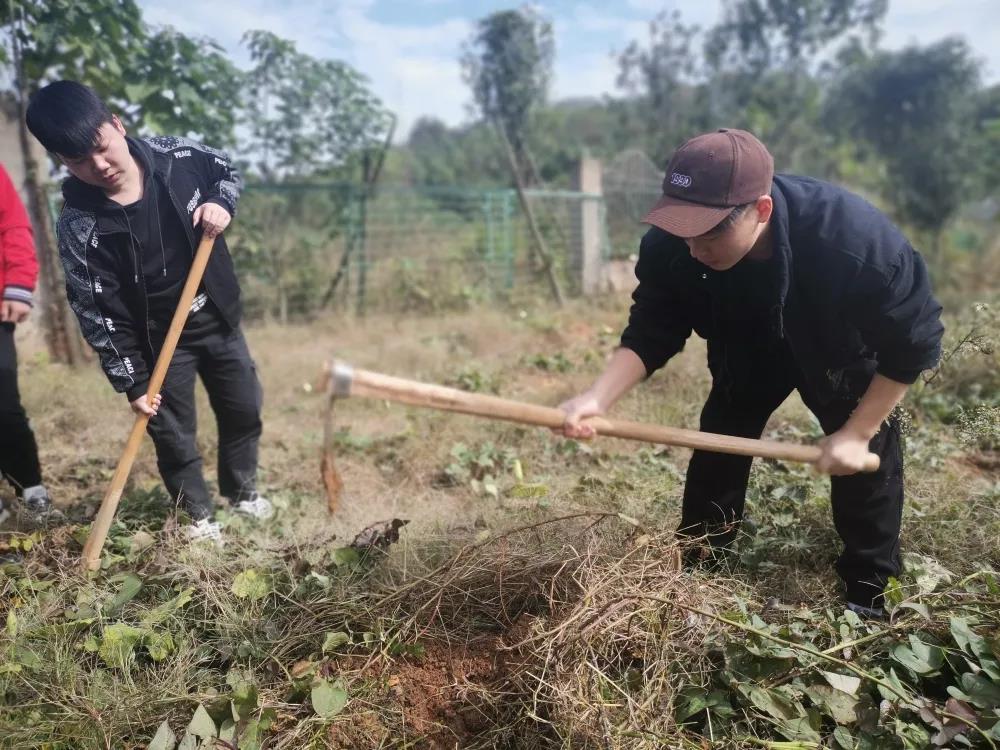 遇见暖冬:九云教育班级户外拓展掠影